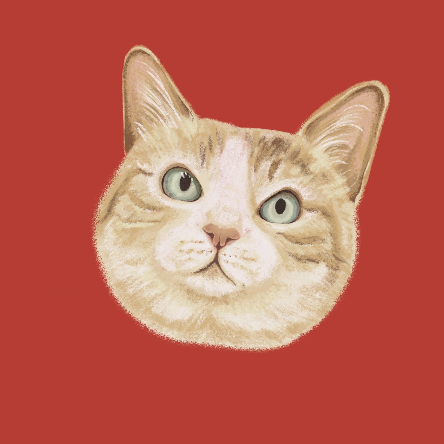 Illustration of a cat's face on a red background