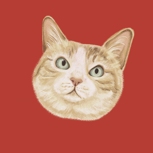 Custom Pet Portrait | Soft Brush Style Digital Painting